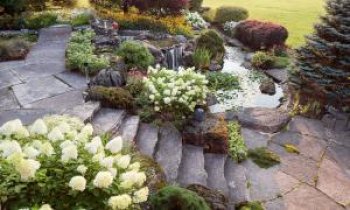 Paisagismo e Plantas Ornamentais