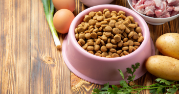 Básico de Alimentação para Pet