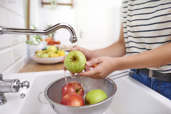Higiene e Manipulação de Alimentos